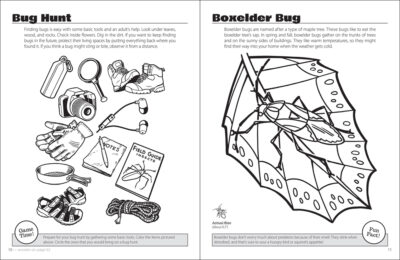 Beautiful Bugs Activity Book - Image 3