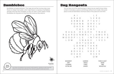 Beautiful Bugs Activity Book - Image 4