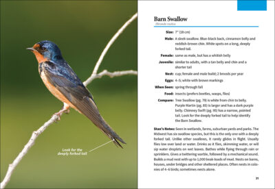 Stan Tekiela's Birding for Beginners: Midwest - Image 3