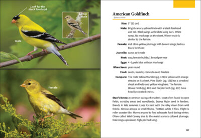 Stan Tekiela's Birding for Beginners: Midwest - Image 2