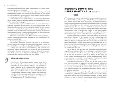 NOC Stories - Image 4