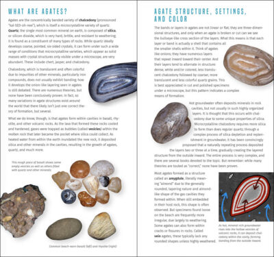 Agates and Other Collectibles of the Pacific Coast - Image 2