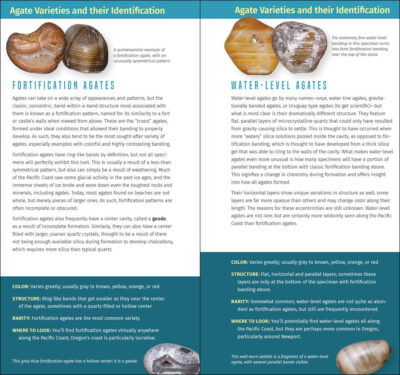 Agates and Other Collectibles of the Pacific Coast - Image 3