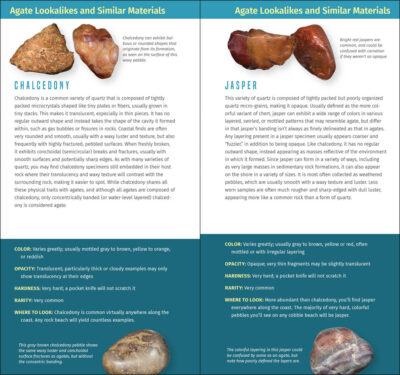 Agates and Other Collectibles of the Pacific Coast - Image 4