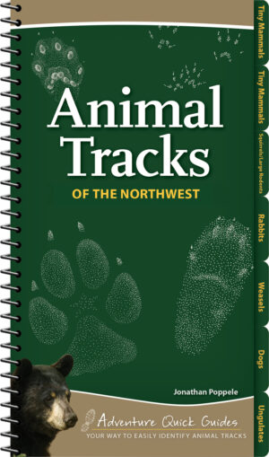 Pocket Guide to Florida Animal Tracks