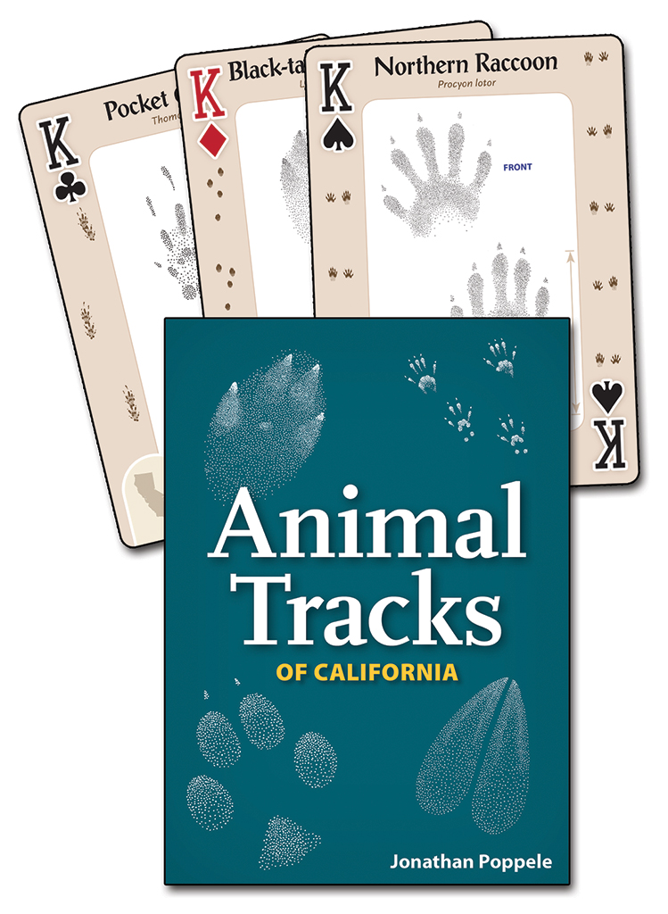 Animal Tracks of California Playing Cards - AdventureKEEN Shop