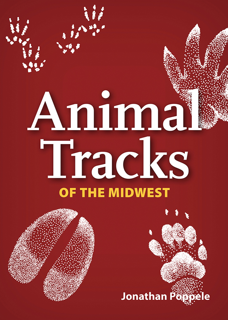 Animal Tracks of the Midwest Playing Cards - AdventureKEEN Shop