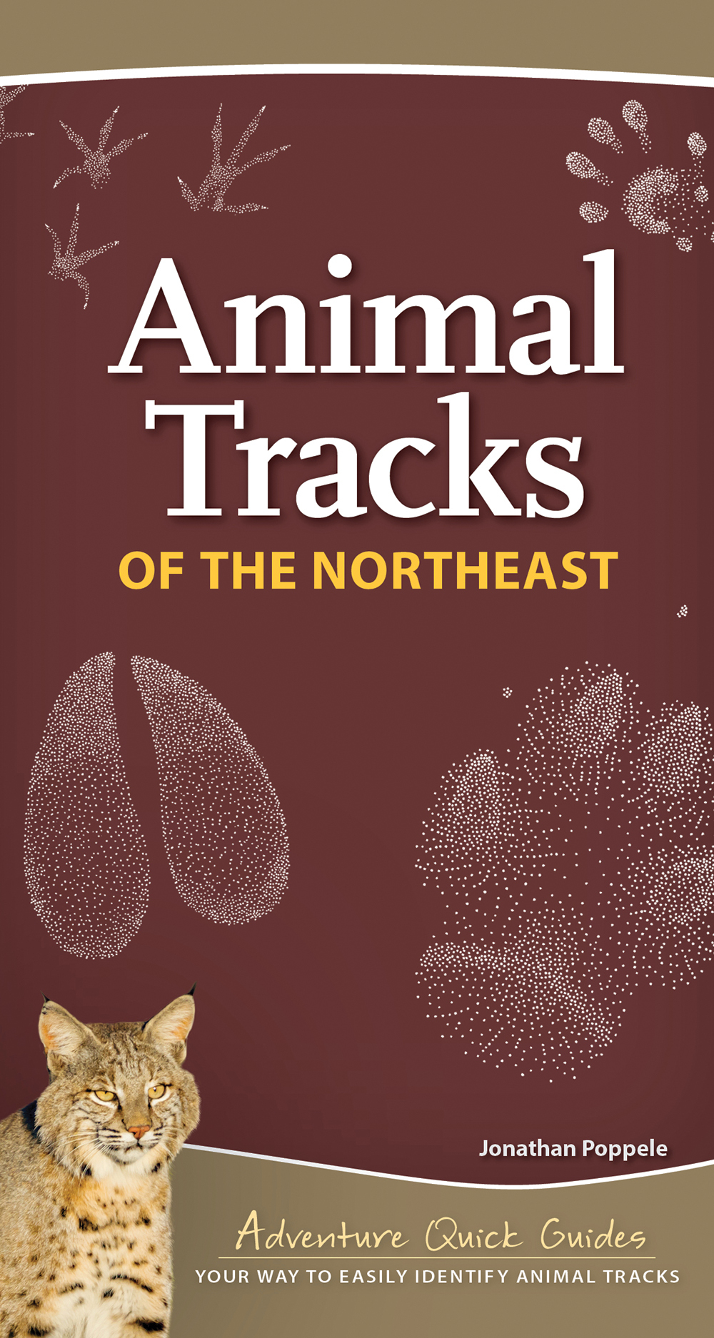 Animal Tracks of the Northeast - AdventureKEEN Shop