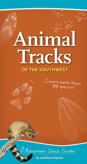 Field Guide to Animal Tracks and Scat of California by Lawrence