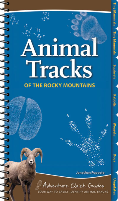 Animal Tracks of the Rocky Mountains