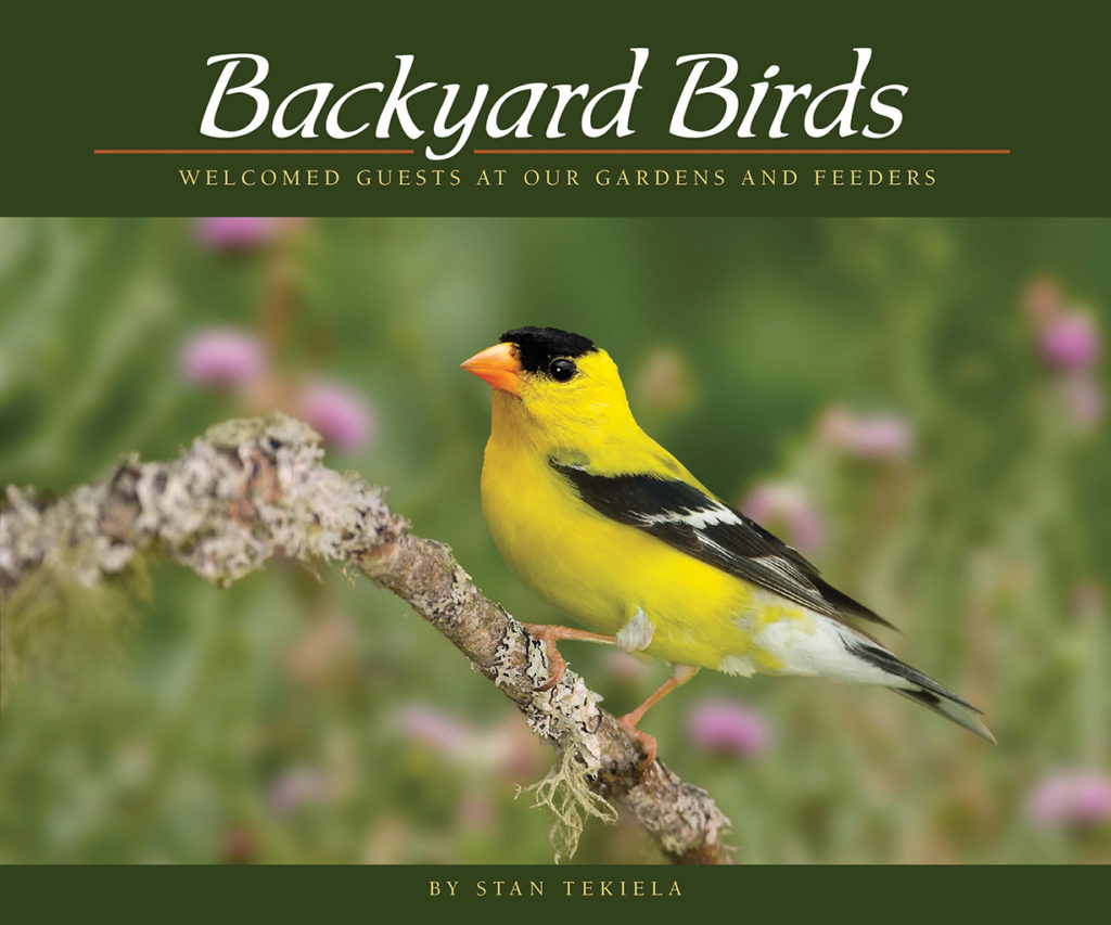 Birding Journal - AdventureKEEN Shop