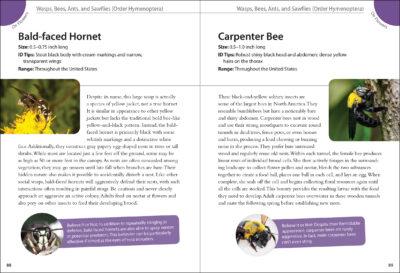 Backyard Bugs - Image 3
