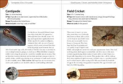 Backyard Bugs - Image 4