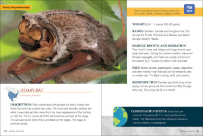 Bat Basics - Image 4