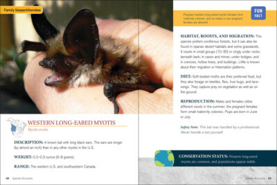 Bat Basics - Image 5