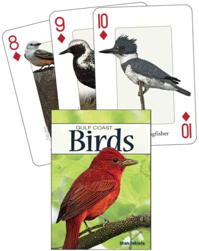 Gulf Coast Birds Playing Cards