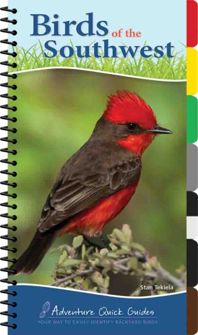 Birds of the Southwest