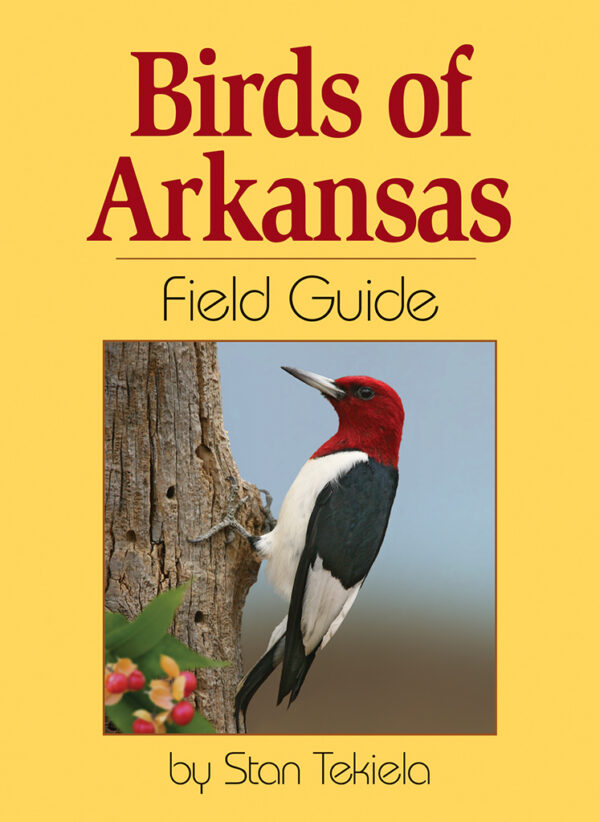 Birds ar. Ark птицы. Птицы книга на немецком. Bird Guide. Sally's "Hips-on" Guide to Birds.