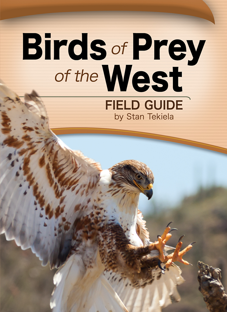 Field Guide - Birds of Prey