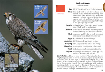 Birds of Wyoming Field Guide - Image 3