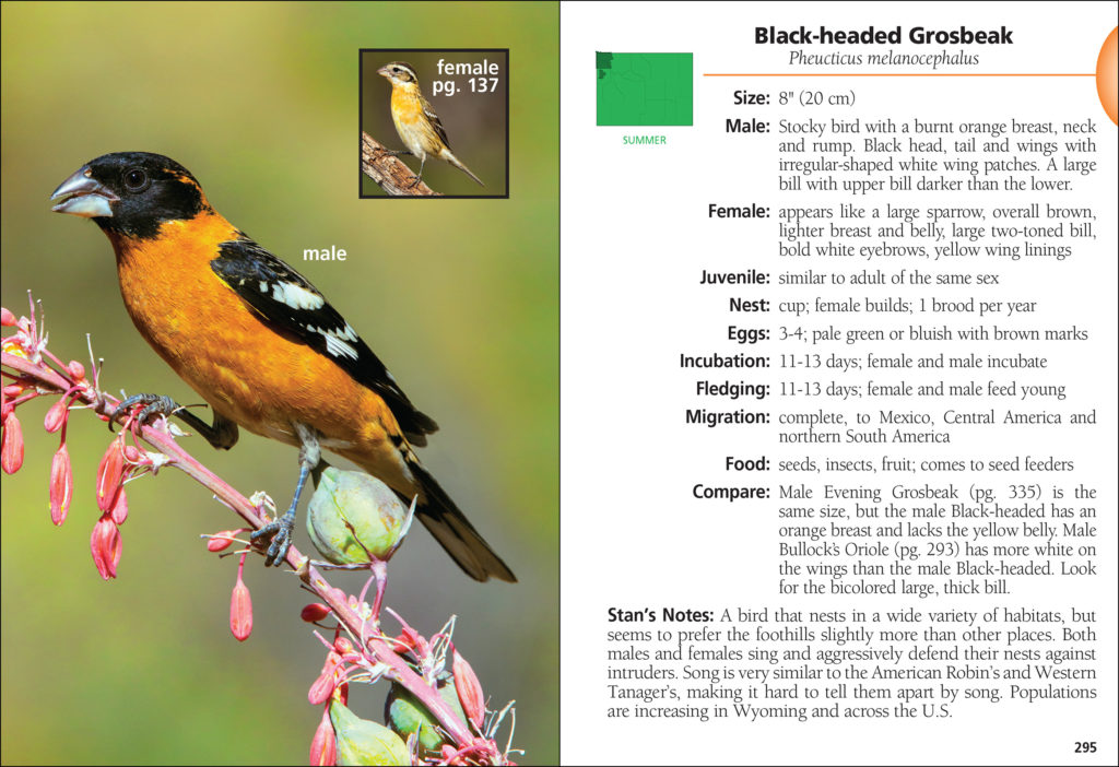 Birds of Wyoming Field Guide - AdventureKEEN Shop