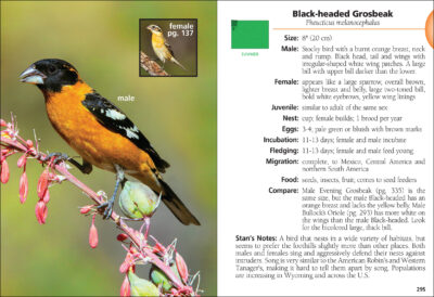 Birds of Wyoming Field Guide - Image 4