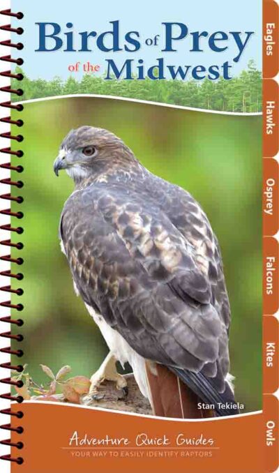 Birds of Prey of the Midwest