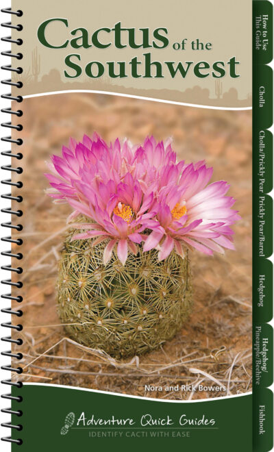 Cactus of the Southwest