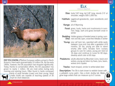 Critters of Wyoming Pocket Guide - Image 4