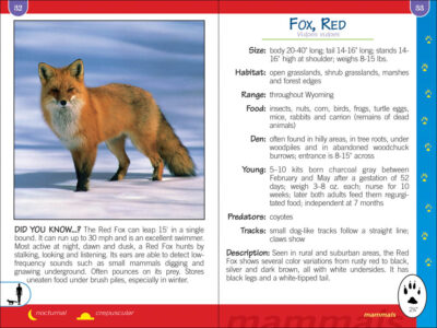 Critters of Wyoming Pocket Guide - Image 5