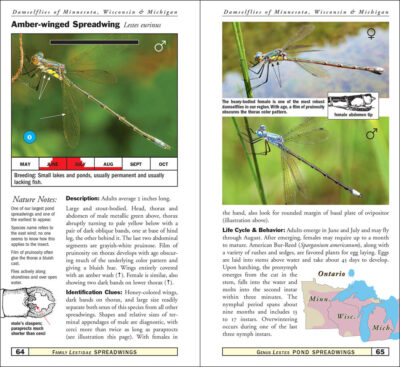 Damselflies of Minnesota, Wisconsin & Michigan - Image 2