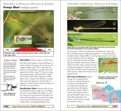 Damselflies of Minnesota, Wisconsin & Michigan - Image 4