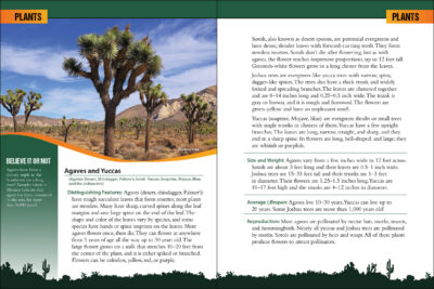 Desert Life - Image 3