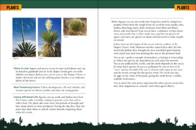 Desert Life - Image 4