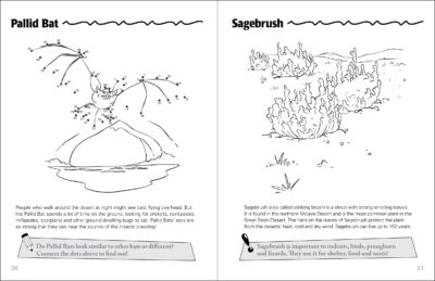 Desert Life of the Southwest Activity Book - Image 3