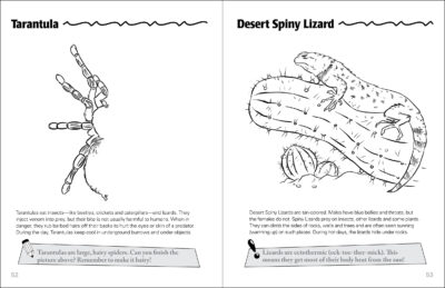 Desert Life of the Southwest Activity Book - Image 4