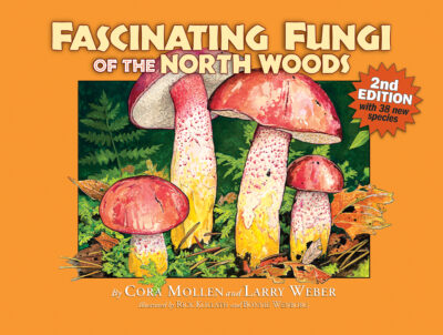Fascinating Fungi of the North Woods