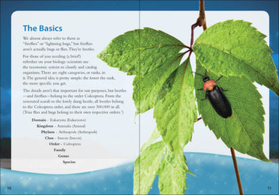 Fireflies Book - Image 2