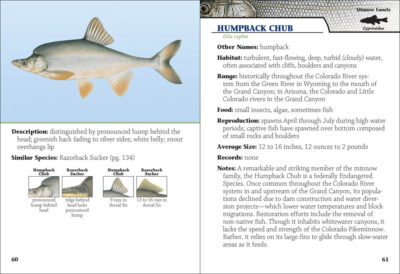 Fish of Arizona Field Guide - Image 3