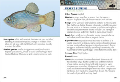 Fish of Arizona Field Guide - Image 2