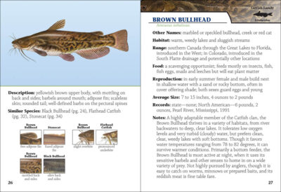 Fish of Colorado Field Guide - Image 2