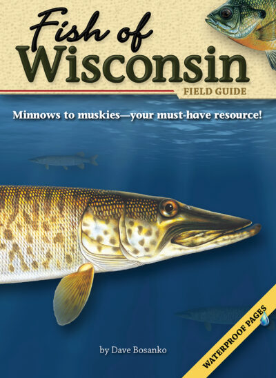 Fish of Wisconsin Field Guide