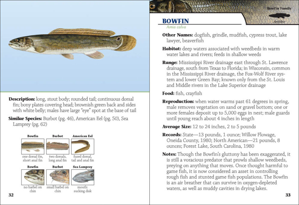 Fish of Wisconsin Field Guide - AdventureKEEN Shop