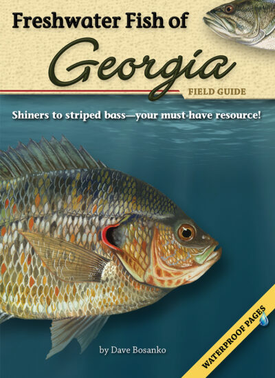 Freshwater Fish of Georgia Field Guide