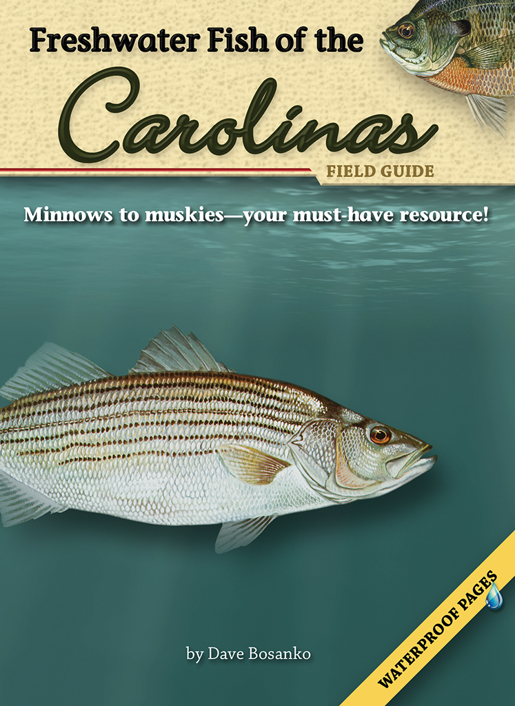 Freshwater Fish of the Carolinas Field Guide - AdventureKEEN Shop