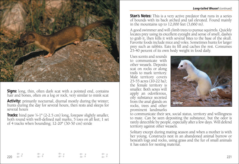 Mammals of Arizona Field Guide - AdventureKEEN Shop