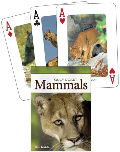 Gulf Coast Mammals Playing Cards