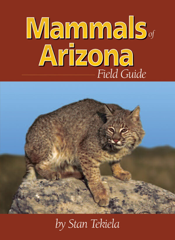 Mammals of Arizona Field Guide - AdventureKEEN Shop