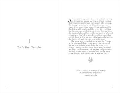 Meditations of John Muir - Image 2
