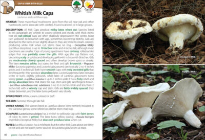 Mushrooms of the Upper Midwest - Image 2
